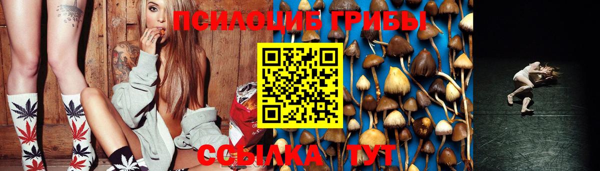 Галлюциногенные грибы MAGIC MUSHROOMS  Вход с VPN  Чернушка 